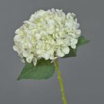 Hortensia artificiel EGIA, crème, 50cm