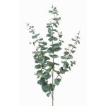 Branche d'eucalyptus en plastique CALLIOPE, vert-gris, 115cm