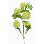 Fleur de boule de neige artificielle FONTE, vert clair, 75cm