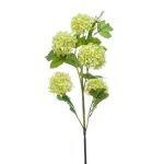 Fleur de boule de neige artificielle FONTE, vert clair, 75cm