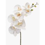 Tige d'orchidée Phalaenopsis en soie NEITH, blanc, 75cm, Ø7-10,5cm