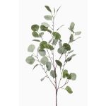 Branche d'eucalyptus artificielle COLTON, vert-gris, 85cm