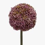 Allium en plastique BOUTROS, violet, 75cm