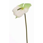 Anthurium artificiel MOIRA, blanc-vert, 75cm, 13x20cm