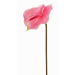 Anthurium artificiel MOIRA, fuchsia-rose, 75cm, 13x20cm