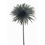 Gerbera artificiel SIEDA, bleu-vert, 65cm, Ø10cm