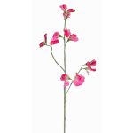 Fleur artificielle Lathyrus ASFALOTH, fuchsia, 65cm, Ø3-5cm