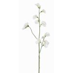 Fleur artificielle Lathyrus ASFALOTH, blanc, 65cm