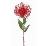 Fleur artificielle Protea BAILY, rouge, 55cm, Ø10cm