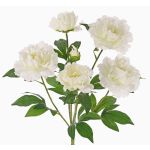 Bouquet de pivoines artificielles LYANA, piquet, blanc, 45cm, Ø30cm
