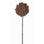 Branche d'anis étoilé artificielle CATBERT, brun, 70cm, Ø10cm