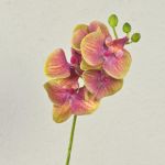 Tige d'orchidée Phalaenopsis artificielle OPHELIA, fuchsia-vert, 40cm, Ø7-8cm
