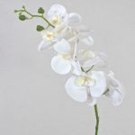 Tige d'orchidée Phalaenopsis artificielle OPHELIA, blanc, 80cm