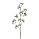 Branche décorative Cèdre SNALTI avec des pommes de pin, givré, blanc-vert, 65cm