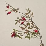 Branche d'églantier artificielle WARDALIA avec des cynorrhodons, rouge, 95cm