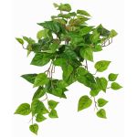 Plante décorative Suspension de pothos SHELLEY sur piquet, collection écologique, vert, 55cm