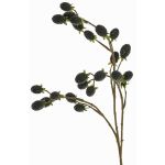 Branche décorative de mûre URUMA avec fruits, noire, 90cm