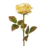 Fleur artificielle Rose DRINT, vert-crème, 60cm, Ø10,5cm