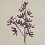 Fausse branche de Sedum MOMOKA, violet foncé, 110cm