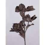 Branche de camélia décorative en mousse plastique RANIA, marron, 95cm, Ø18-22cm