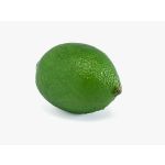 Fruit artificiel Lime NANGA, vert, 6cm