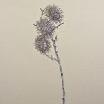 Branche de ramboutan artificielle WARDA, brun-blanc, 60cm