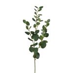 Branche décorative Eucalyptus JINVAL, vert, 80cm