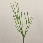 Plante artificielle Euphorbia tirucalli BENEDETTO, vert, 50cm