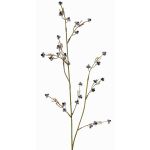 Stirlingia latifolia artificiel COLLAN, noir-blanc, 85cm