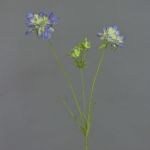 Scabiosa en tissu ANDIA, bleu-violet, 80cm, Ø8-10cm