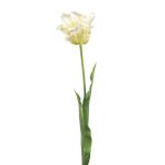 Tulipe perroquet déco LUNIA, blanc-vert, 70cm