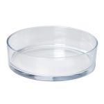Coupe en verre VERA OCEAN, transparent, 8cm, Ø29cm