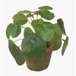 Plante à monnaie chinoise artificielle SYBIL en pot en terre cuite, vert, 13cm