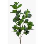 Branche de ficus Panda artificielle BANDE, vert, 90cm