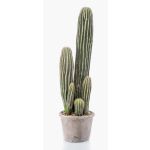 Cactus San Pedro artificiel DACON en pot décoratif, vert, 55cm