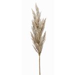 Branche artificielle Panicule d'herbe de la pampa BATERNO, crème, 90cm
