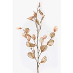 Branche de lunaire artificielle BUELNA, brun clair, 105cm