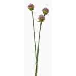 Bouquet d'Alliums artificiels LAMDA, violet-vert, 65cm