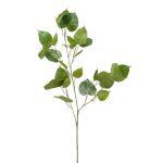 Branche artificielle de Ficus religiosa ASCELLA avec fruits, vert, 95cm