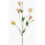 Faux Lisianthus PAZAN, rose-crème, 70cm