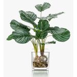 Calathea Orbifolia artificiel AGINA, pot en verre, vert-blanc, 45cm