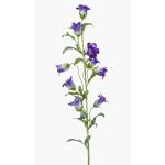 Fausse fleur Campanule AIMI, mauve-crème, 90cm