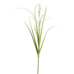 Branche décorative Pennisetum KOVLIN avec des panicules, crème-vert, 65cm
