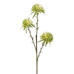 Branche de fleurs artificielles Allium GLORF, vert-blanc, 60cm