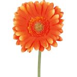 Fleur artificielle Gerbera TUNZA, orange, 50cm