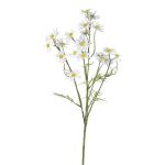 Branche décorative Camomille WISOP, blanc, 75cm