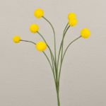 Fausse fleur Craspedia Globosa STEPHANOS, jaune, 60cm, Ø2,5-3cm