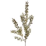 Fausse branche de fragon petit-houx ELENIE, vert, 95cm
