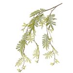Fausse branche de mimosa ELPIDA, vert, 110cm