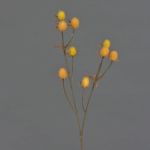 Branche de chardon artificielle (Eryngium) LOUKAS, jaune-orange, 45cm, Ø1,5cm